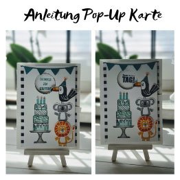 Anleitung-Pop-Up-Karte